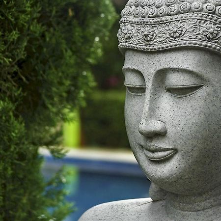 Casa Domingo Hotel Petit Miacatlán Dış mekan fotoğraf
